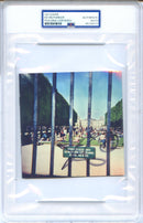 Tame Impala Signed Autographed CD Cover “Lonerism” PSA/DNA Authenticated