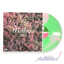 Wallows Signed Autographed Vinyl LP "Spring" PSA/DNA Authenticated