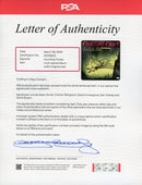 Counting Crows Signed Autographed Vinyl "Recovering the Satellites" PSA/DNA Authenticated