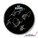 The Struts Signed Autographed 10” Drumhead PSA/DNA Authenticated