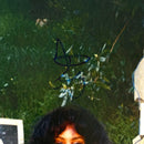 SZA Signed Autographed Vinyl LP "Ctrl" PSA/DNA Authenticated
