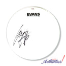 Gary Holt Signed Autographed 10” Drumhead PSA/DNA Authenticated