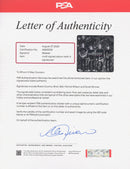 Weezer Signed Autographed Vinyl LP “Make Believe” PSA/DNA Authenticated