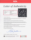 Weezer Signed Autographed Vinyl LP “Make Believe” PSA/DNA Authenticated