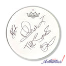 The Struts Signed Autographed 10” Drumhead PSA/DNA Authenticated