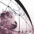 Mike McCready Signed Autographed 8x8 Photo "Vs." PSA/DNA Authenticated