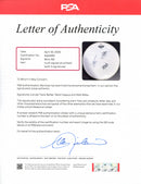 blink-182 Signed Autographed 14” Drumhead PSA/DNA Authenticated